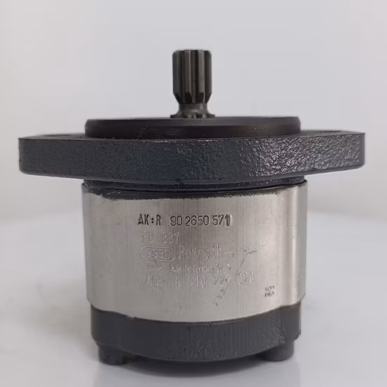 Bomba Hidráulica Rexroth/Bomba de Pistão/Bomba de Pressão/Bomba de Óleo/Bomba de Palhetas/Bomba de Engrenagem/Bomba de Escavadeira para A2fo/A2FM/A4V/A6vm/A7vo/A10vso/A11V/PV7/Pg/A4fo